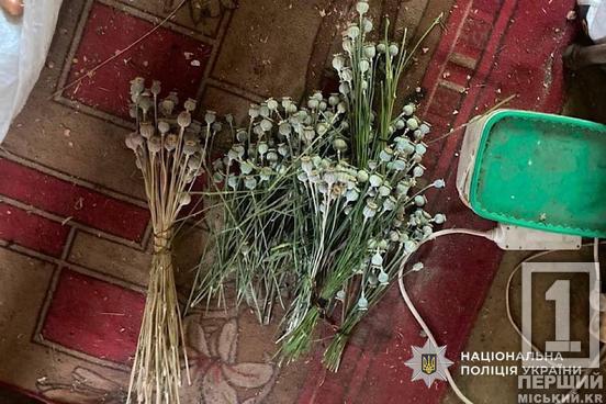 Замість городини — мак та коноплі: у Криворізькому районі поліція викрила 69-річного пенсіонера