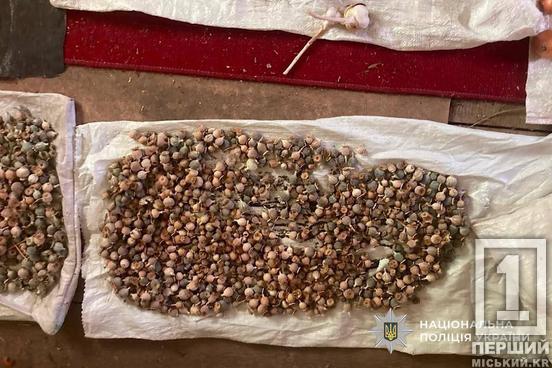 Замість городини — мак та коноплі: у Криворізькому районі поліція викрила 69-річного пенсіонера