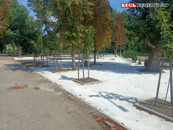 Газон забетонували в парку Мершавцева в Кривому Розі