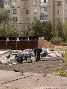 Криворіжців просять не залишати сміття біля контейнерів: порушникам загрожують штрафи
