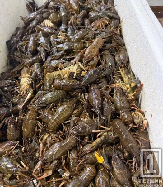 На Дніпропетровщині чоловік намагався продати 293 раків без документів