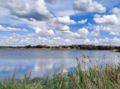 Питна вода та стан водойм на Дніпропетровщині: результати тижневого моніторингу