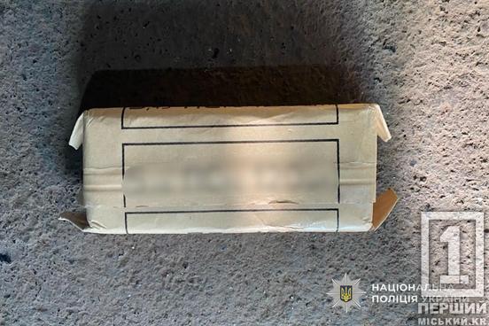 Тисячі патронів, гранатомети та гранати: в Апостоловому поліція викрила підпільний арсенал зброї