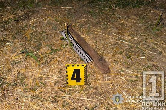 Трощив авто палицею та жбурляв цеглу: у Кривому Розі нетверезий нападник кинувся на поліцейських