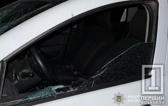 Трощив авто палицею та жбурляв цеглу: у Кривому Розі нетверезий нападник кинувся на поліцейських