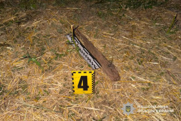У Кривому Розі чоловік з палицею напав на поліцейських і розбив службове авто