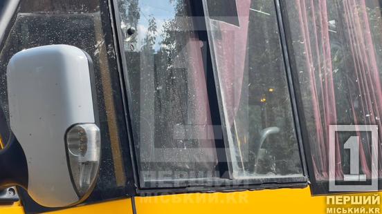 У Кривому Розі міжміська маршрутка влетіла в дерево: водія обпекло гарячим мастилом, є постраждалі
