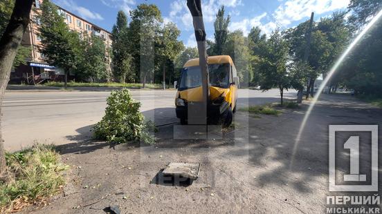 У Кривому Розі міжміська маршрутка влетіла в дерево: водія обпекло гарячим мастилом, є постраждалі