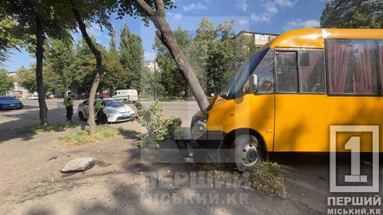 У Кривому Розі міжміська маршрутка влетіла в дерево: водія обпекло гарячим мастилом, є постраждалі