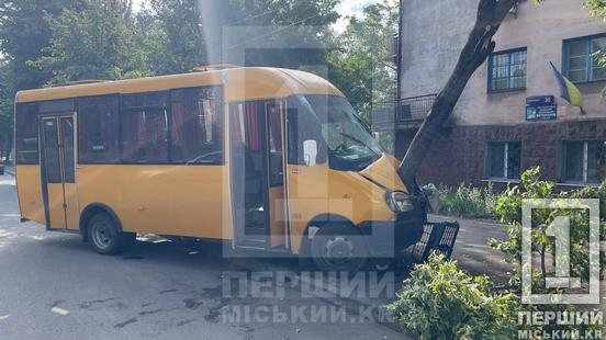 У Кривому Розі міжміська маршрутка влетіла в дерево: водія обпекло гарячим мастилом, є постраждалі