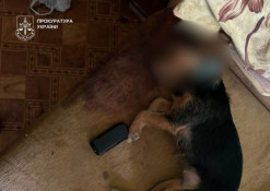 У столиці особу підозрюють у загибелі тварини внаслідок падіння з висоти