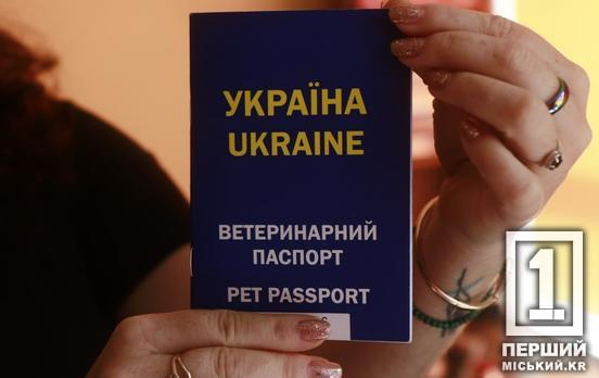 В Україні запроваджують ветеринарні паспорти нового зразка: що варто знати власникам тварин