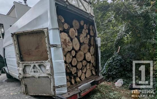 Бус зі стовбурами та жодних дозволів: у Кривому Розі зупинили незаконну вирубку дерев