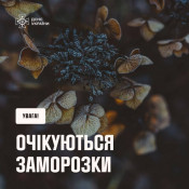 ДСНС застерігає: на ґрунті очікуються заморозки до -3° — жовтий рівень небезпеки