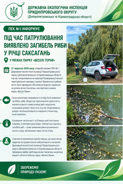 Криворіжці скаржаться на загибель риби в Саксагані: офіційна реакція екологів
