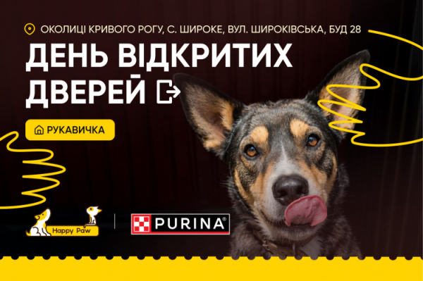 Майже 200 хвостатих чекають на свій дім: у Кривому Розі влаштують День відкритих дверей у притулку