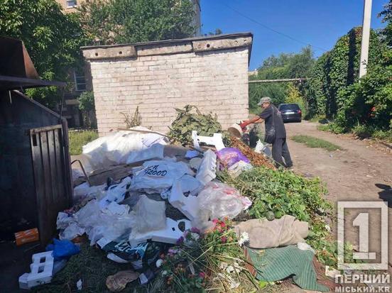 Під прицілом камер: порушників благоустрою штрафуватимуть на 1700 гривень