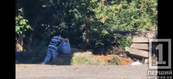 Під прицілом камер: порушників благоустрою штрафуватимуть на 1700 гривень