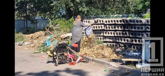 Під прицілом камер: порушників благоустрою штрафуватимуть на 1700 гривень