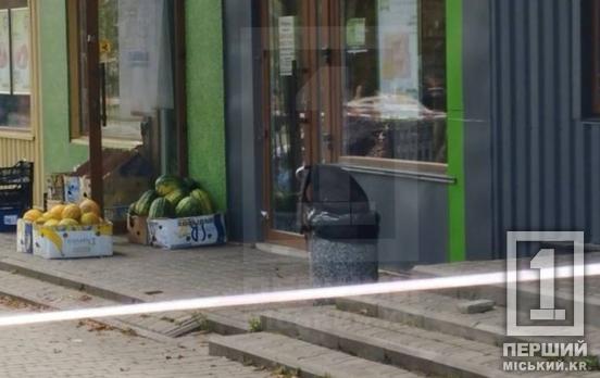 Підозріла знахідка на Дзержинці: у Кривому Розі правоохоронці перевіряють залишений на смітнику портфель