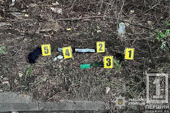Побили та відібрали сумку з грошима: у Дніпрі затримали двох рецидивістів за напад на військового