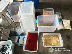 Подружжя з Кривого Рогу влаштувало підпільне виробництво наркотиків на Житомирщині