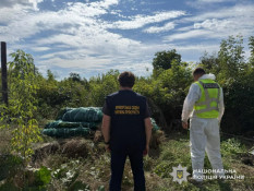 Понад 20 кг канабісу та більше тисячі кущів конопель: на Дніпропетровщині викрили наркосправу