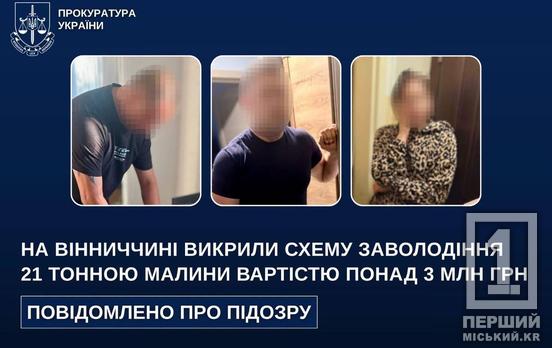 Привласнили 21 тонну малини на 3 мільйони гривень: серед підозрюваних у шахрайстві — житель Дніпропетровщини