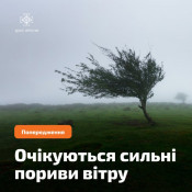 Синоптики попереджають про поривчастий вітер у неділю