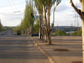 У Кривому Розі зупинили рух п’яти тролейбусних маршрутів