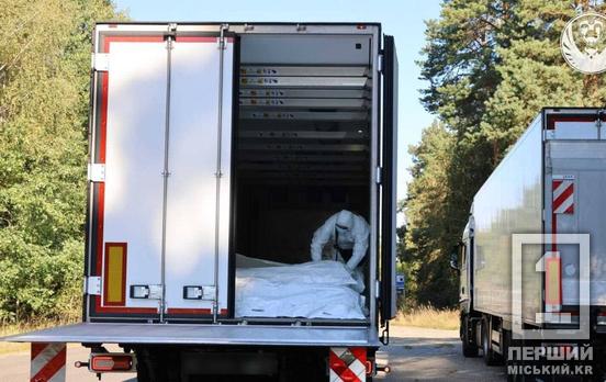 В Україну повернули тіла ще 252 полеглих оборонців