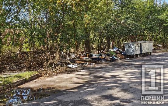 Вивантажив мішки біля порожніх баків: у Кривому Розі на гарячому зловили водія, який висипав сміття у дворі