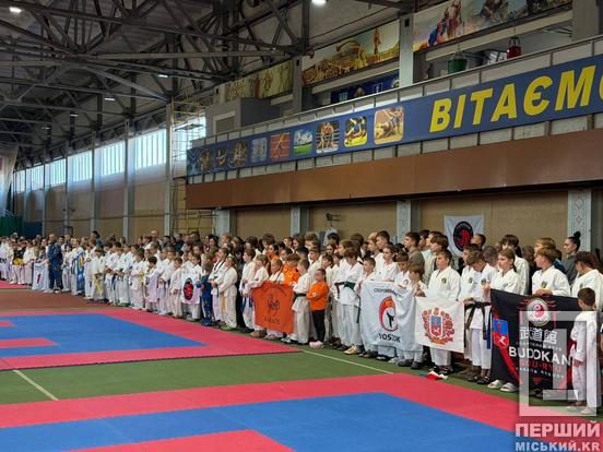 139 медалей і перше командне місце: каратисти з Кривого Рогу тріумфували на Кубку України