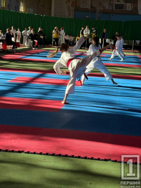 139 медалей і перше командне місце: каратисти з Кривого Рогу тріумфували на Кубку України