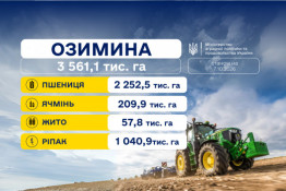 Дніпропетровщина — друга в Україні за площами озимих: в області засіяно 284,6 тис. га
