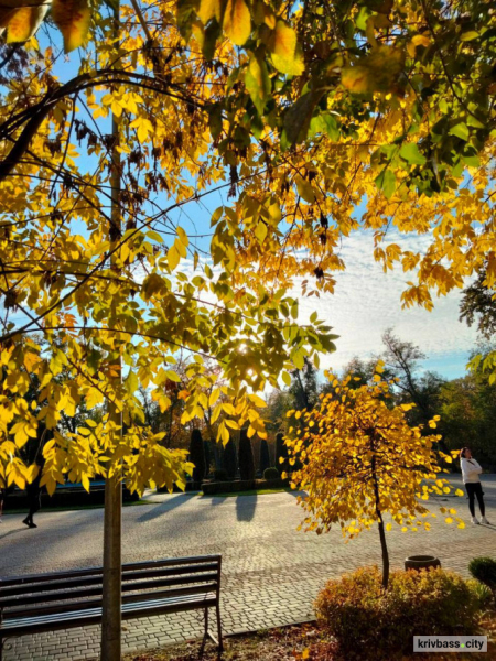 До +17°C і можливий дощ: якою буде погода у Кривому Розі 27 жовтня