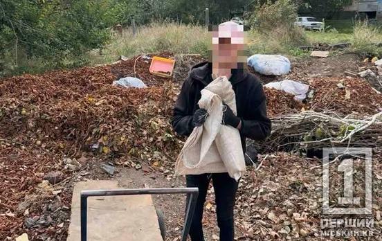 Економлять на вивезенні та плодять звалища: у Кривому Розі двірники керуючих компаній скидають гілля й листя біля смітників