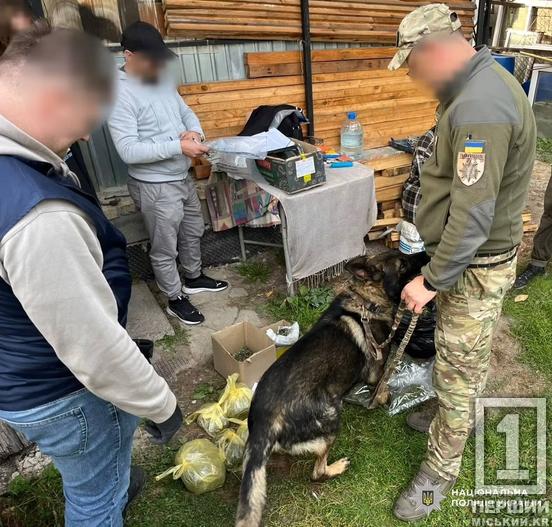 Канабіс відправляли по всій Україні: правоохоронці ліквідували масштабну міжрегіональну мережу наркозбуту
