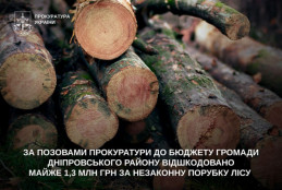 Майже 1,3 млн грн за незаконну порубку лісу: суд стягнув кошти до бюджету Солонянської громади