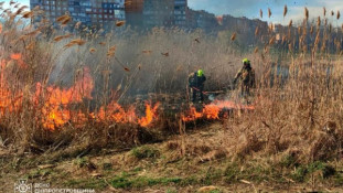 На Дніпропетровщині за тиждень рятувальники ліквідували 110 пожеж