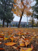 Оперативна інформація про ситуацію у Кривому Розі станом на 14.10.26