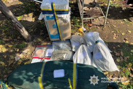 Понад сотню кущів конопель вилучили у домоволодінні на Криворіжжі: розпочато розслідування