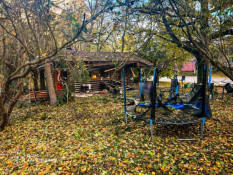 Росіяни вдарили безпілотником по парку на Харківщині: загинули дві жінки та немовля
