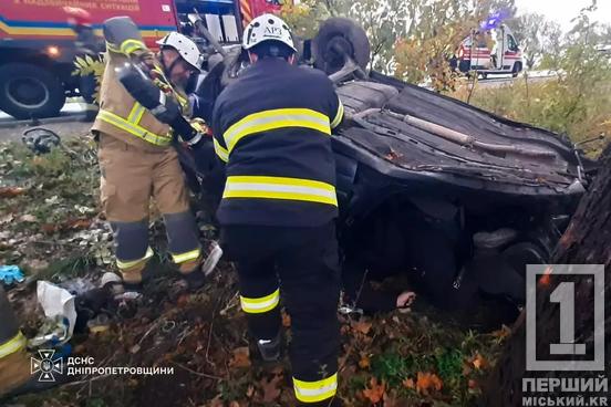 Смертельна ДТП на трасі Дніпро – Кривий Ріг: легковик врізався в дерево, загинув водій та травмовані троє пасажирок