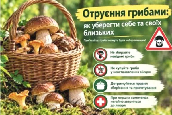 Профілактика отруєнь дикоросслими грибами