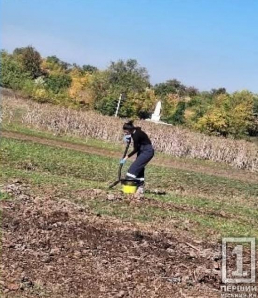 У Криворізькому районі екоінспектори перевірили комунальну землю через засмічення гноєм і нелегальний видобуток води