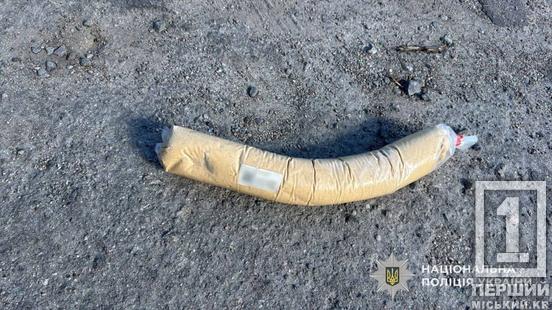 У Павлограді затримали торговця вибухівкою