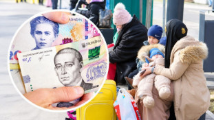 Виплати ВПО у листопаді 2026 року: хто отримає допомогу автоматично та як поновити скасовані нарахуванняя