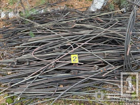Жителі Дніпропетровщини організували банду для розкрадання залізниці на прикордонні Сумщини: підозрюють 13 людей