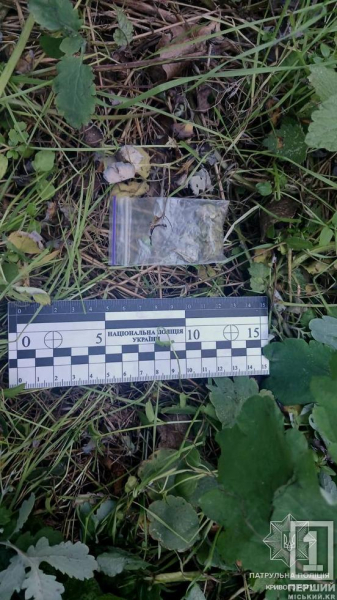 Зіп-пакет і 69 трубочок: у криворізькій лісосмузі поліція знайшла сховок з імовірними наркотиками